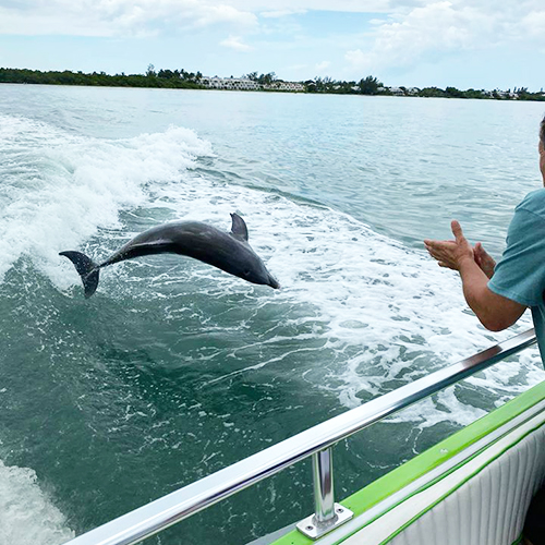 dolphin cruises myrtle beach south carolina