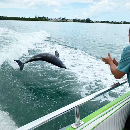 dolphin tours at myrtle beach