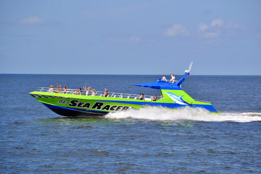 dolphin tours sea racer