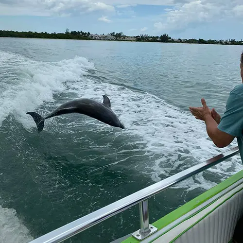 Paradise Dolphin Cruises Deals & Promos - Hatteras-NC.com