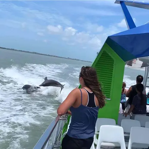 Watching dolphins jump on Sea Racer Myrtle Beach