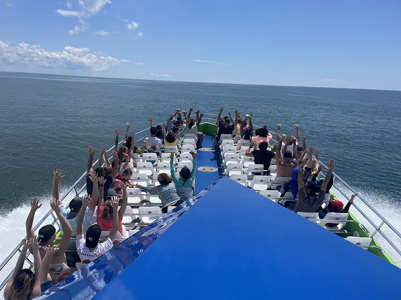 Bridge of Sea Racer Dolphin Tours boat