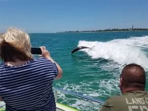 Taking a picture of dolphins aboard Sea Racer Dolphin Cruise