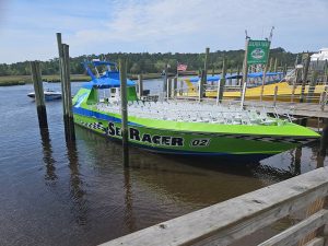 best dolphin tour in Myrtle Beach - SeaRacer