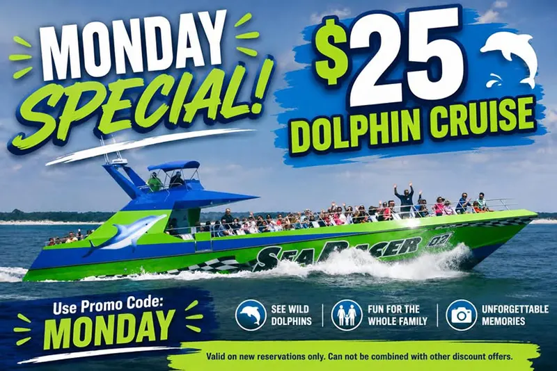 Monday Dolphin Cruise Special