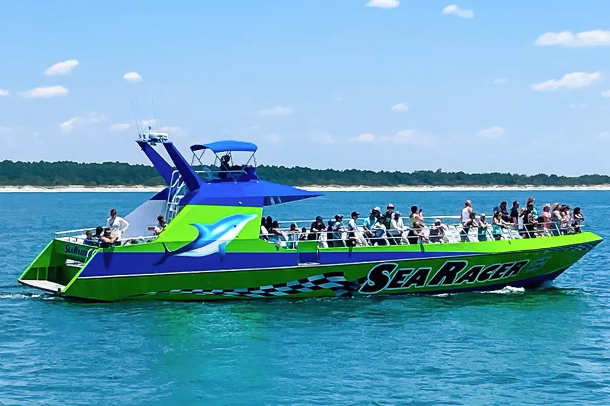 Sea Racer Dolphin Cruise
