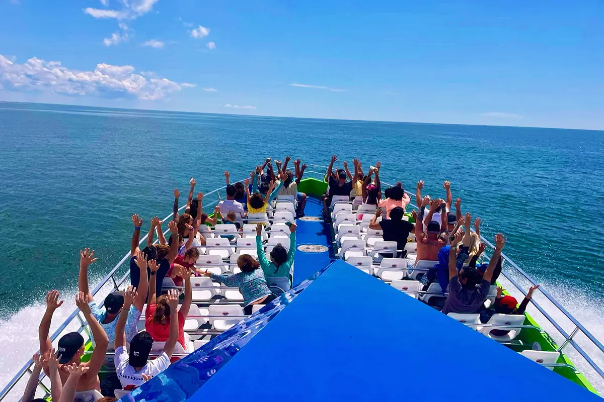 Sea Racer Dolphin Cruises