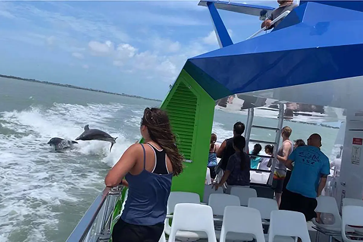 Sea Racer Myrtle Beach Dolphins