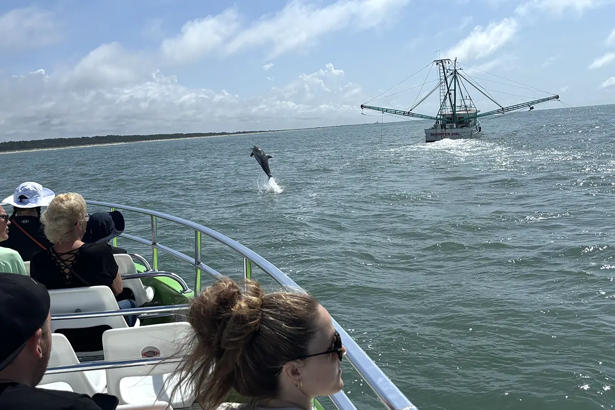 little river dolphin tour