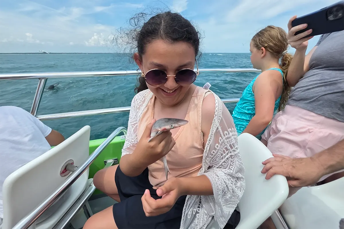 myrtle beach dolphin cruise