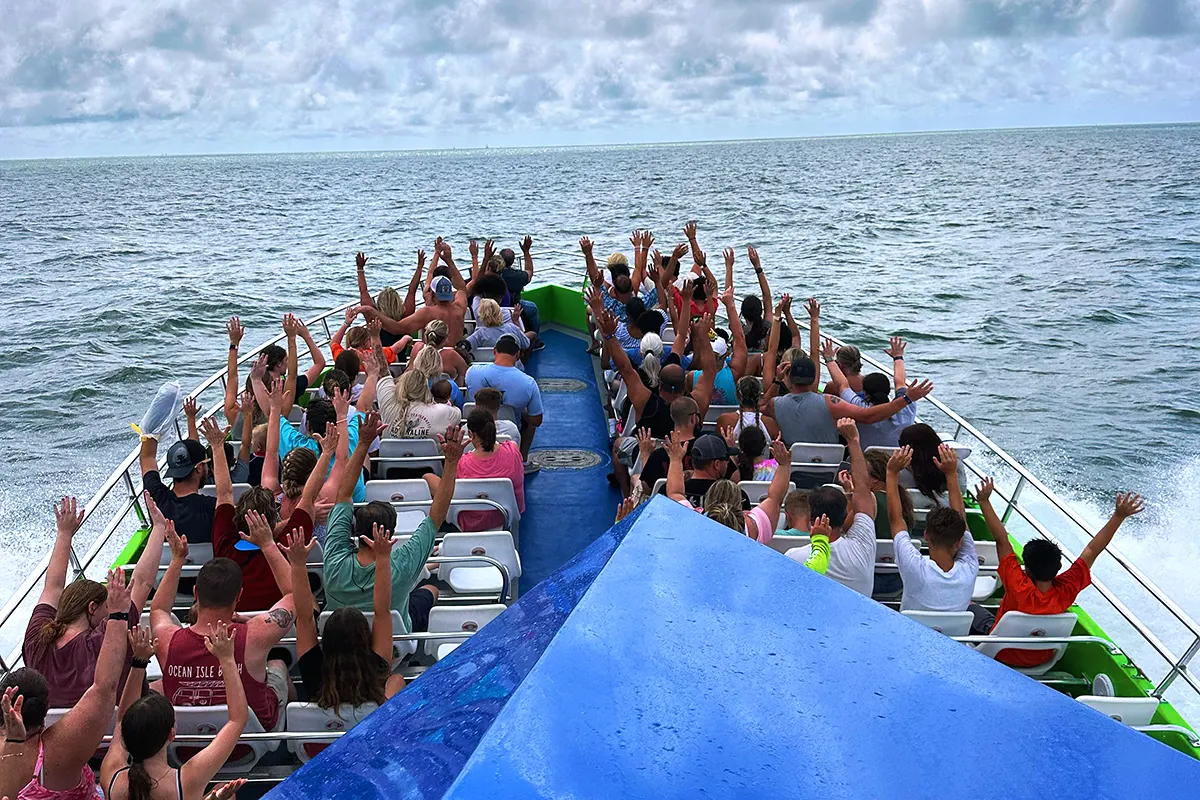 myrtle beach dolphin tour