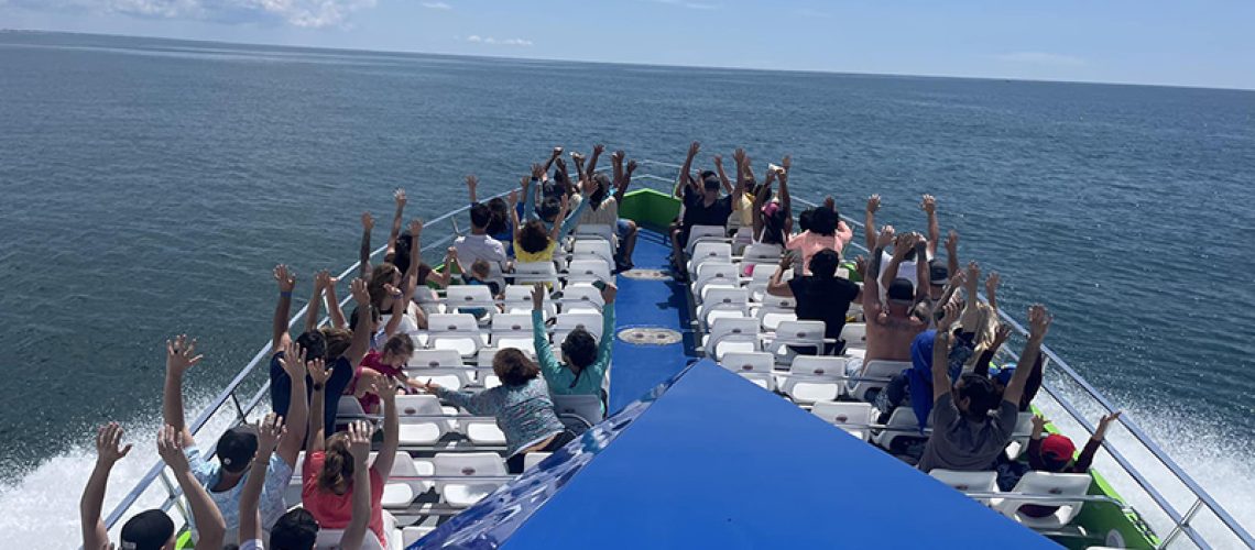 Bridge of Sea Racer Dolphin Tours boat