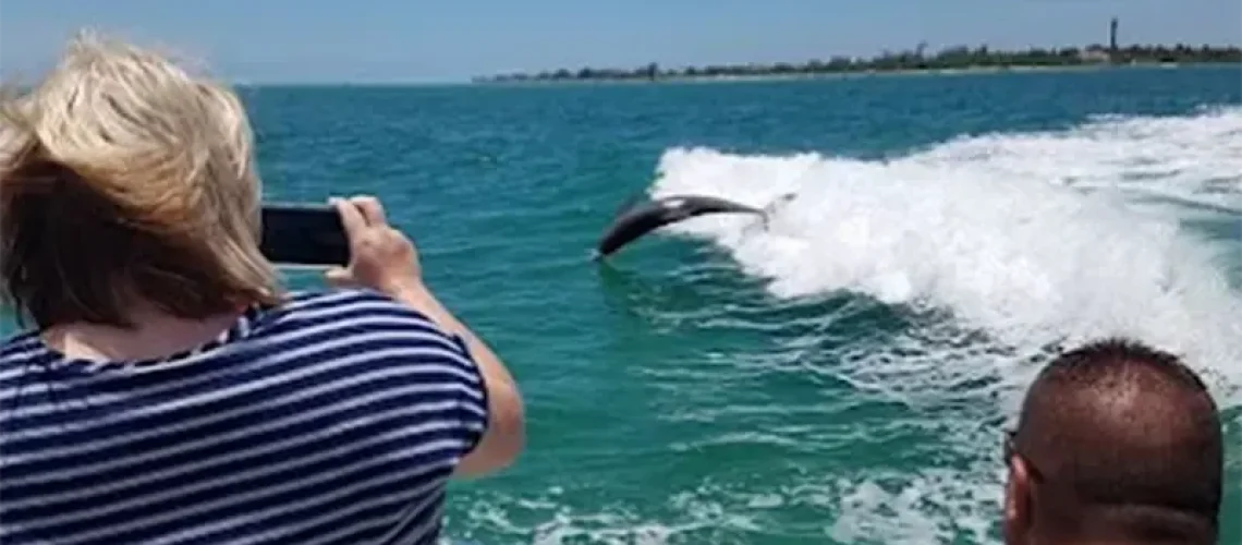 Taking a picture of dolphins aboard Sea Racer Dolphin Cruise
