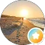 Beach is the Life! Avatar